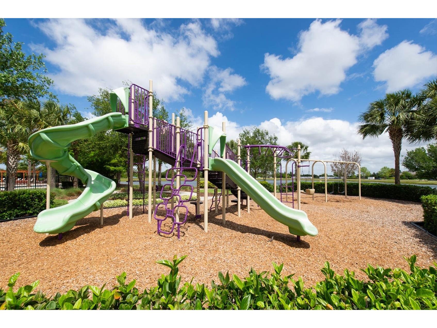 6210 Heirloom Place Apollo Beach FL 33572 TB8496380 image53