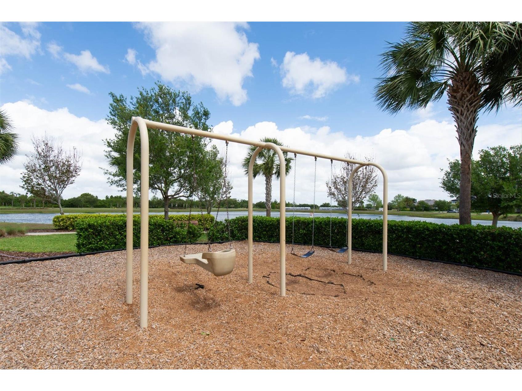 6210 Heirloom Place Apollo Beach FL 33572 TB8496380 image55