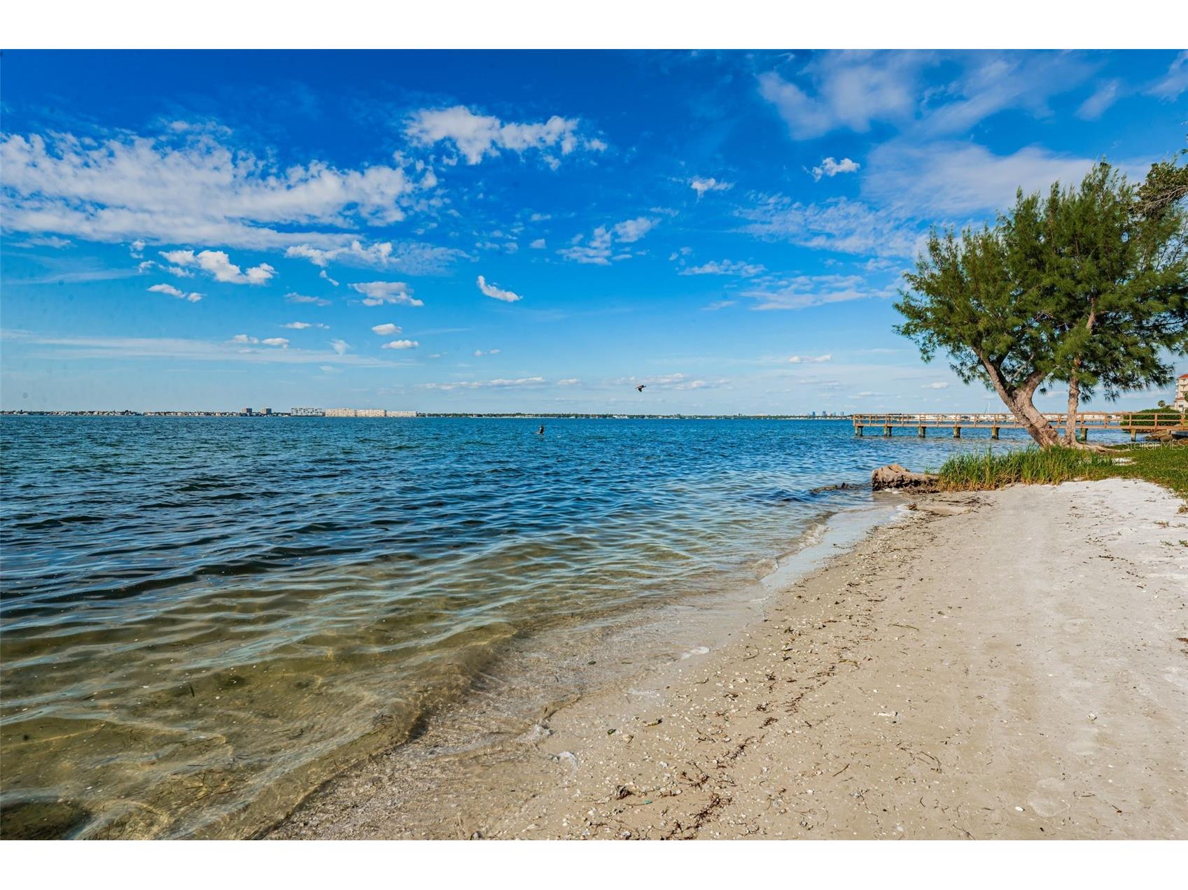 6210 Sun Boulevard #408 Saint Petersburg FL 33715 - BOCA CIEGA BAY TB8460411 image40