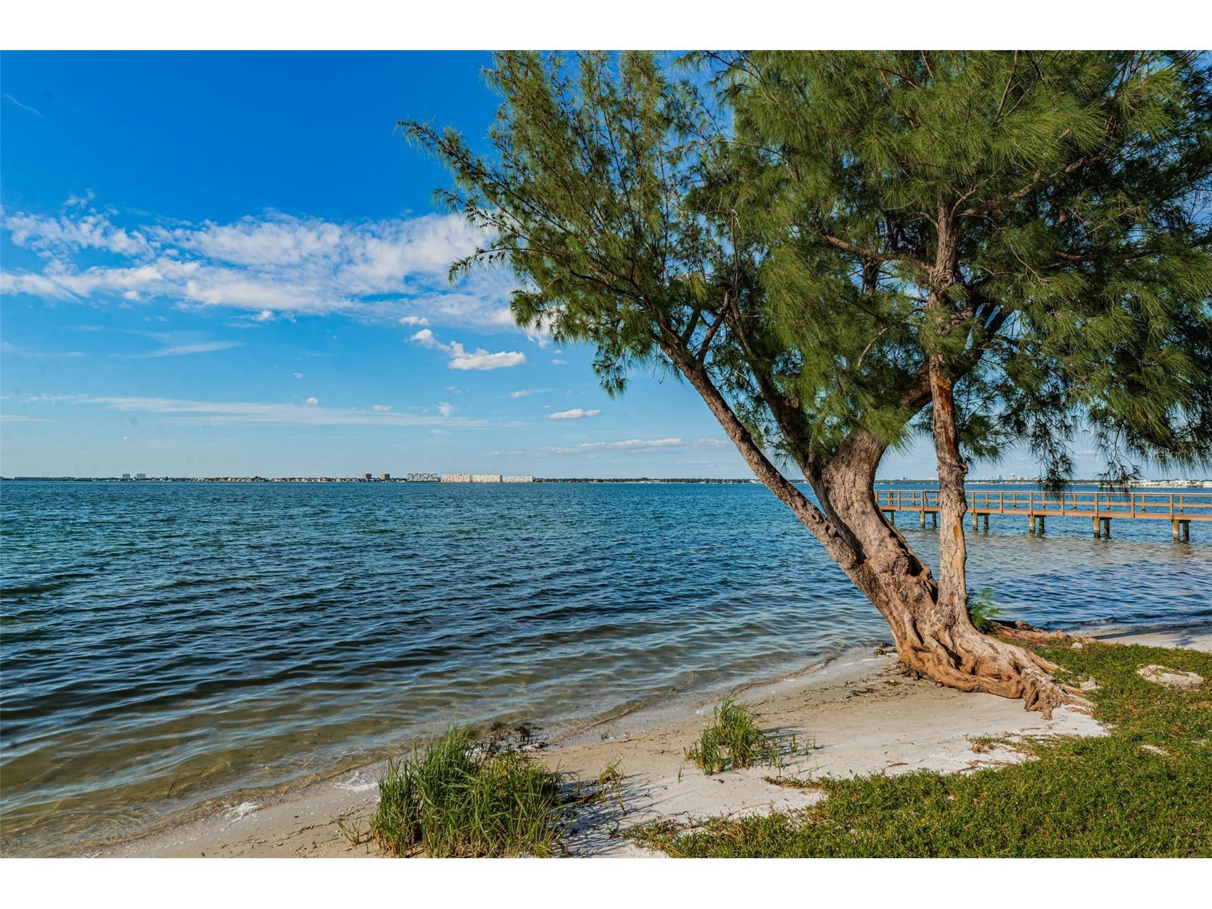 6210 Sun Boulevard #408 Saint Petersburg FL 33715 - BOCA CIEGA BAY TB8460411 image41