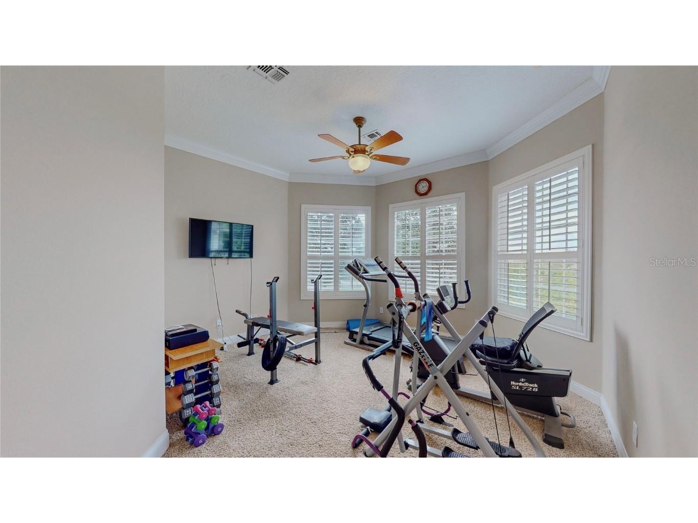 6210 Tremayne Drive Mount Dora FL 32757 G5101488 image10