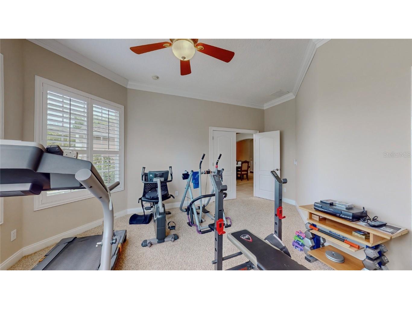 6210 Tremayne Drive Mount Dora FL 32757 G5101488 image11