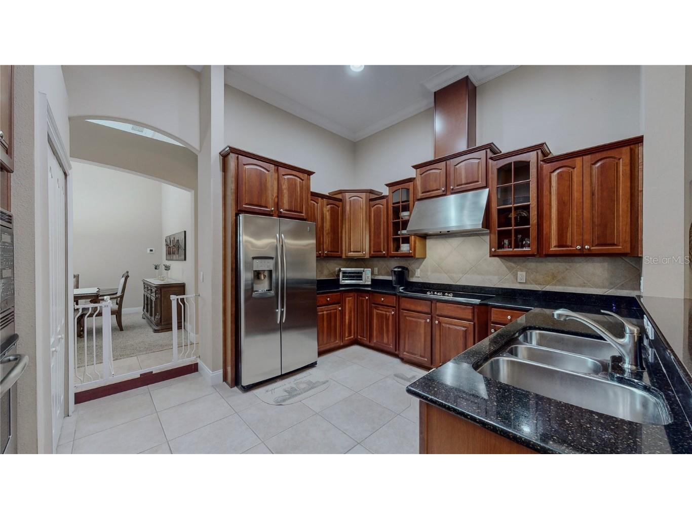 6210 Tremayne Drive Mount Dora FL 32757 G5101488 image14