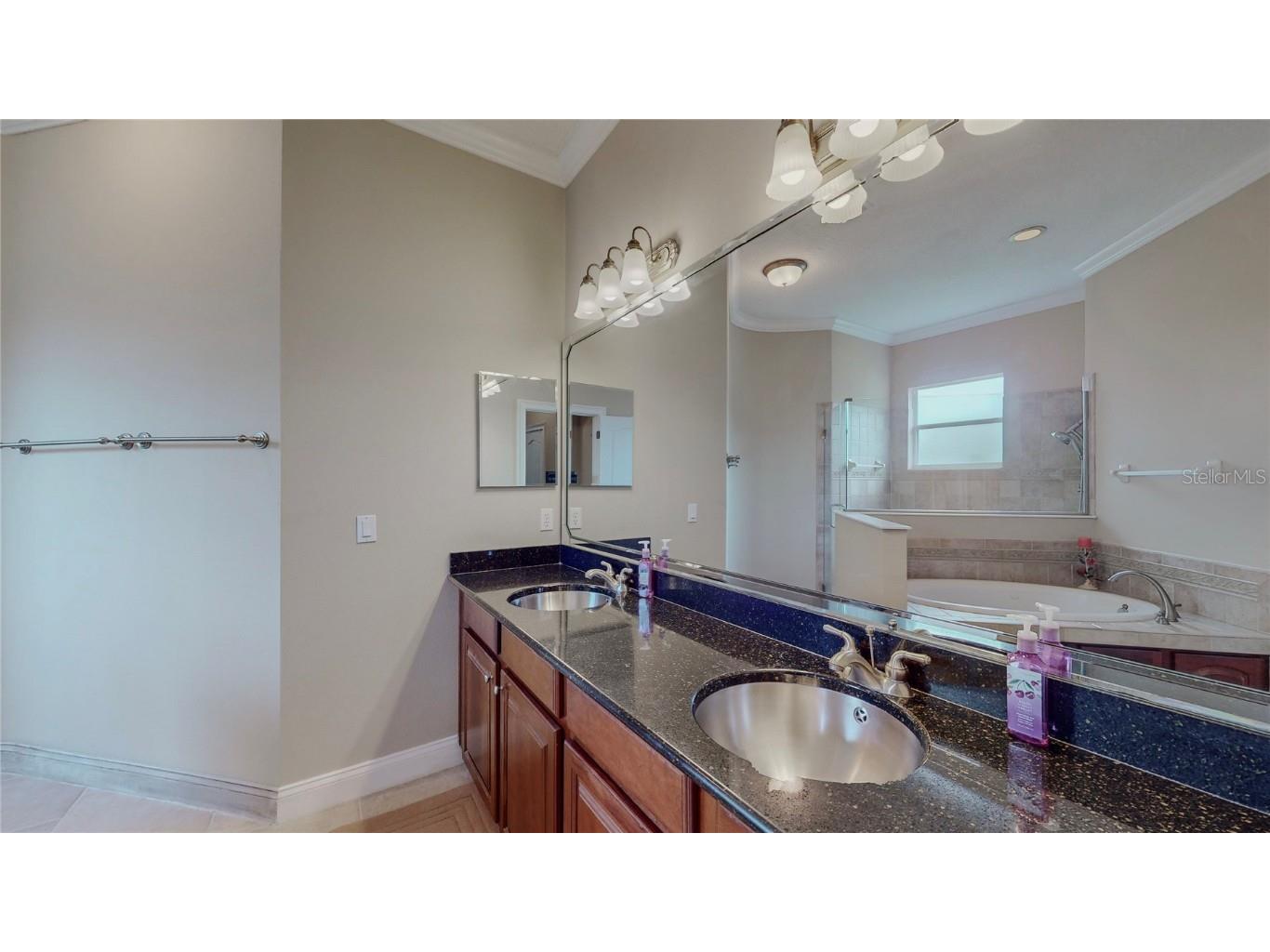 6210 Tremayne Drive Mount Dora FL 32757 G5101488 image26