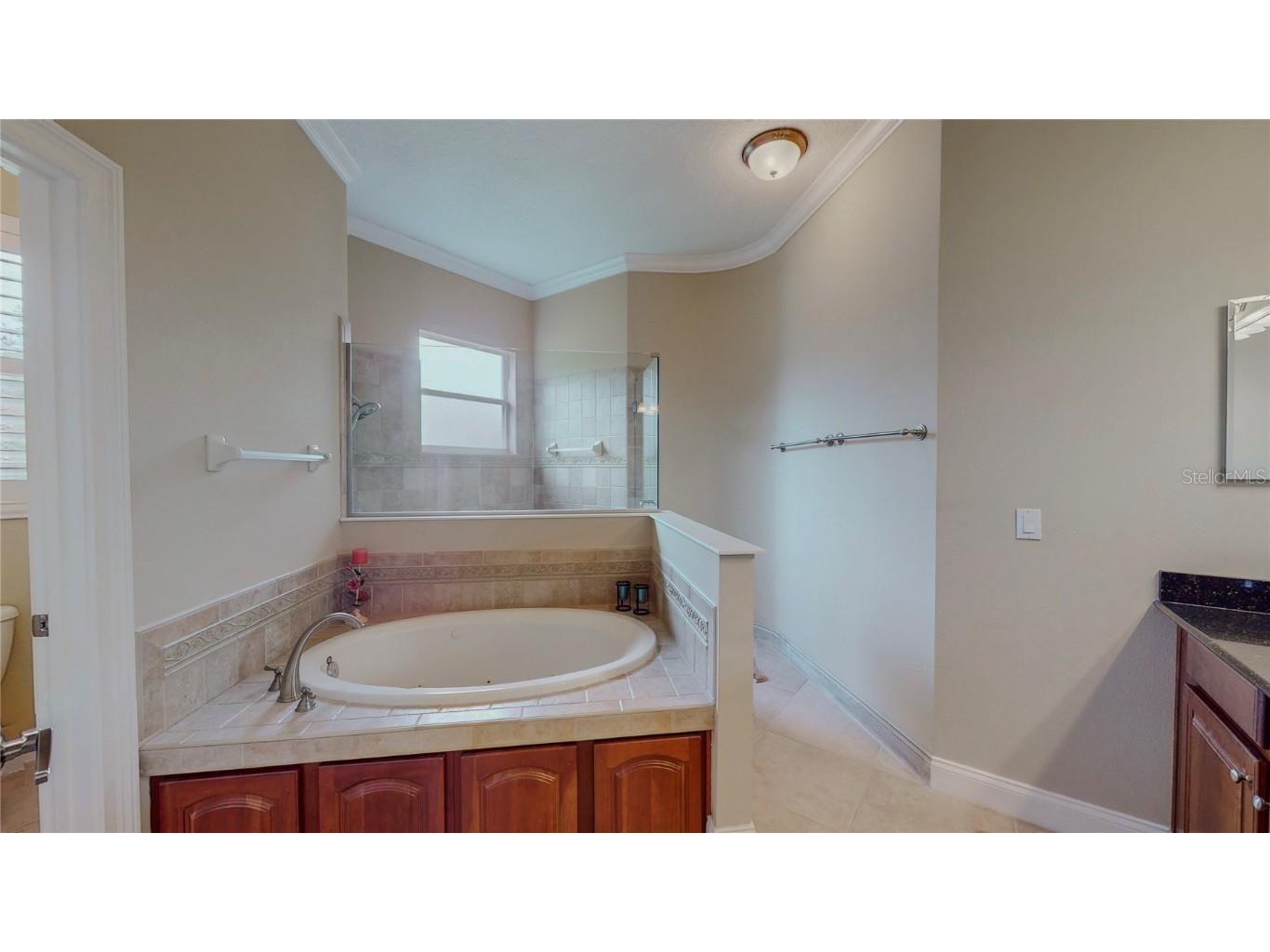 6210 Tremayne Drive Mount Dora FL 32757 G5101488 image27