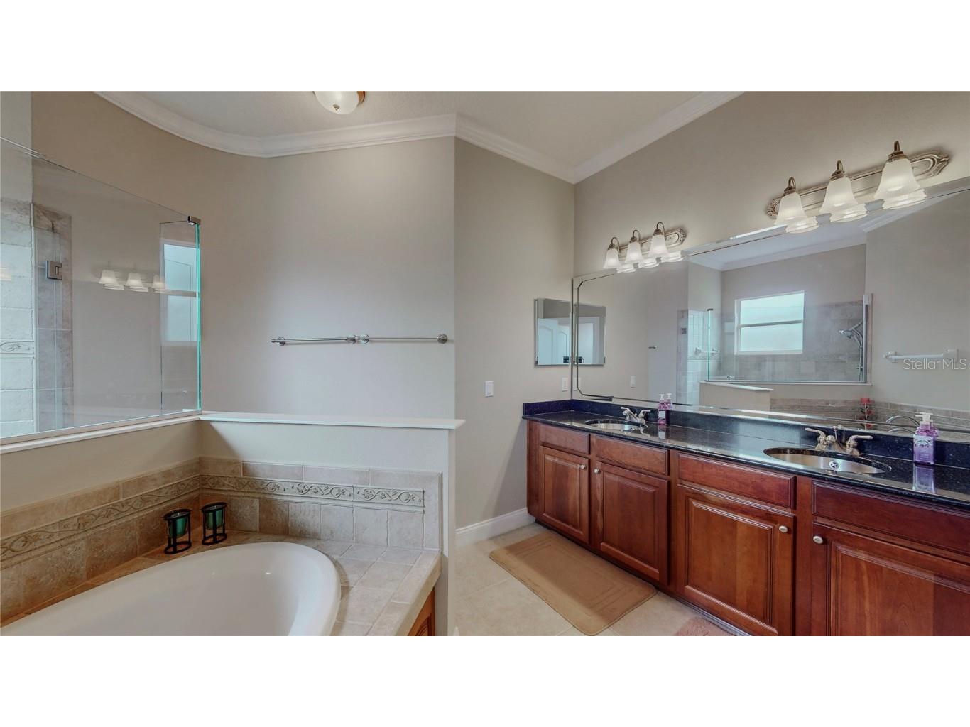 6210 Tremayne Drive Mount Dora FL 32757 G5101488 image28