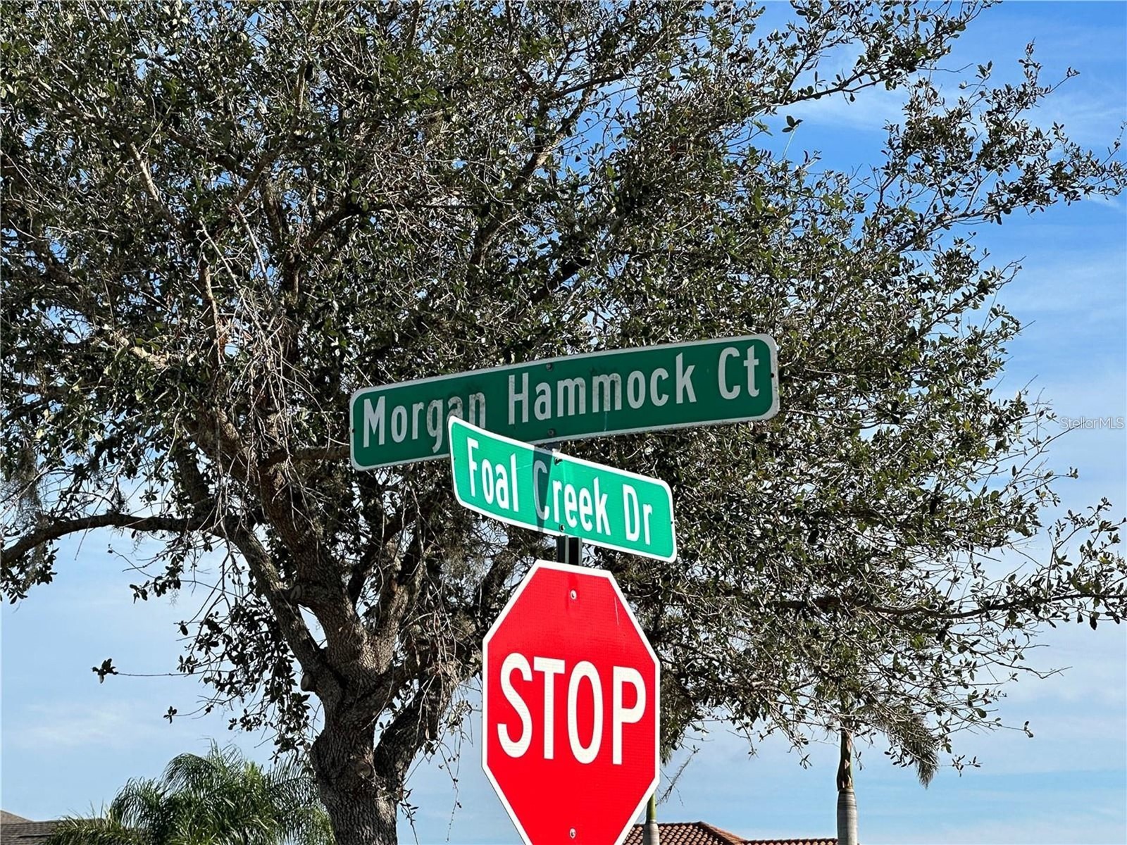 6211 Foal Creek Drive Parrish FL 34219 A4691691 image13