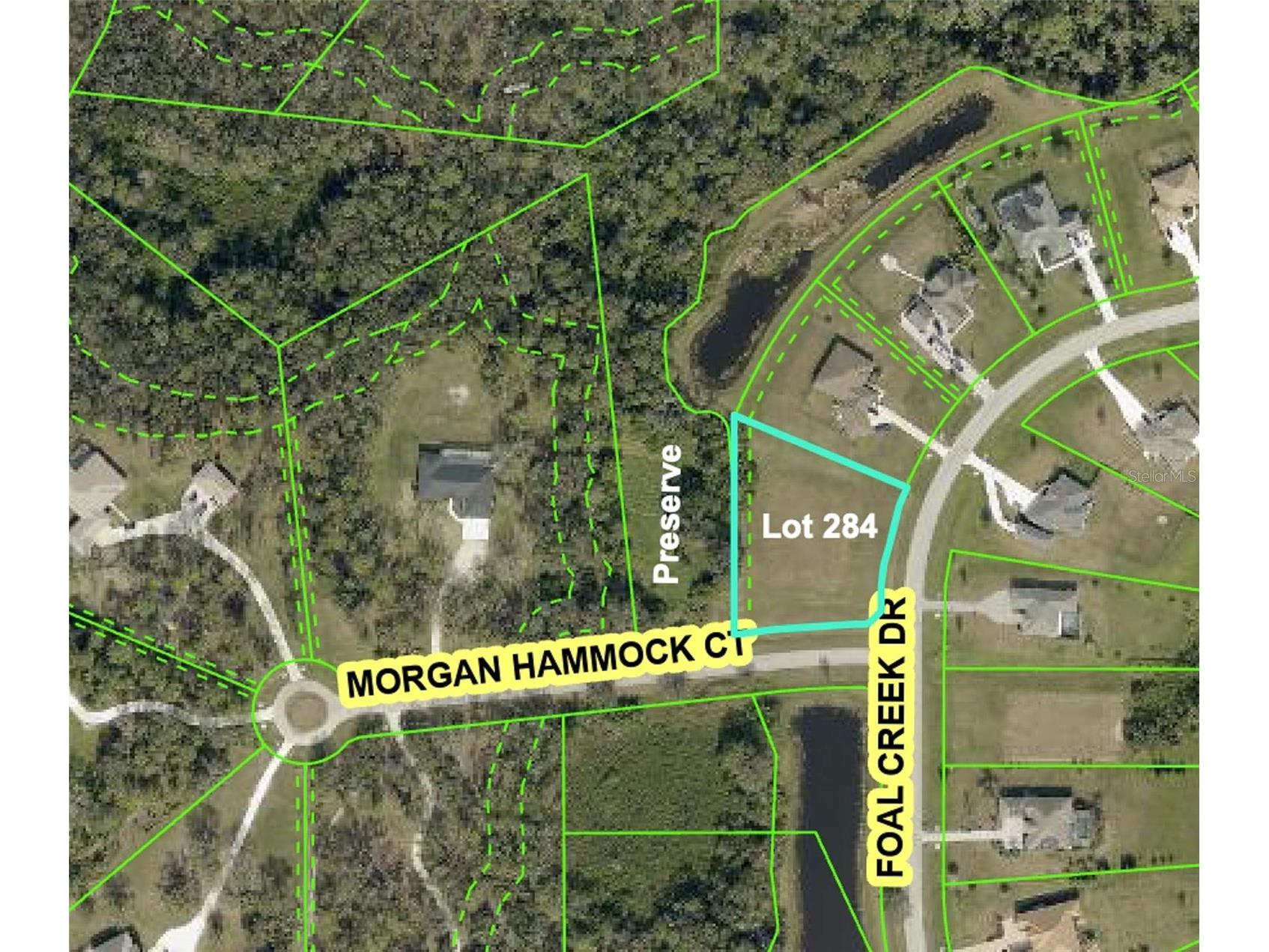 6211 Foal Creek Drive Parrish FL 34219 A4691691 image14