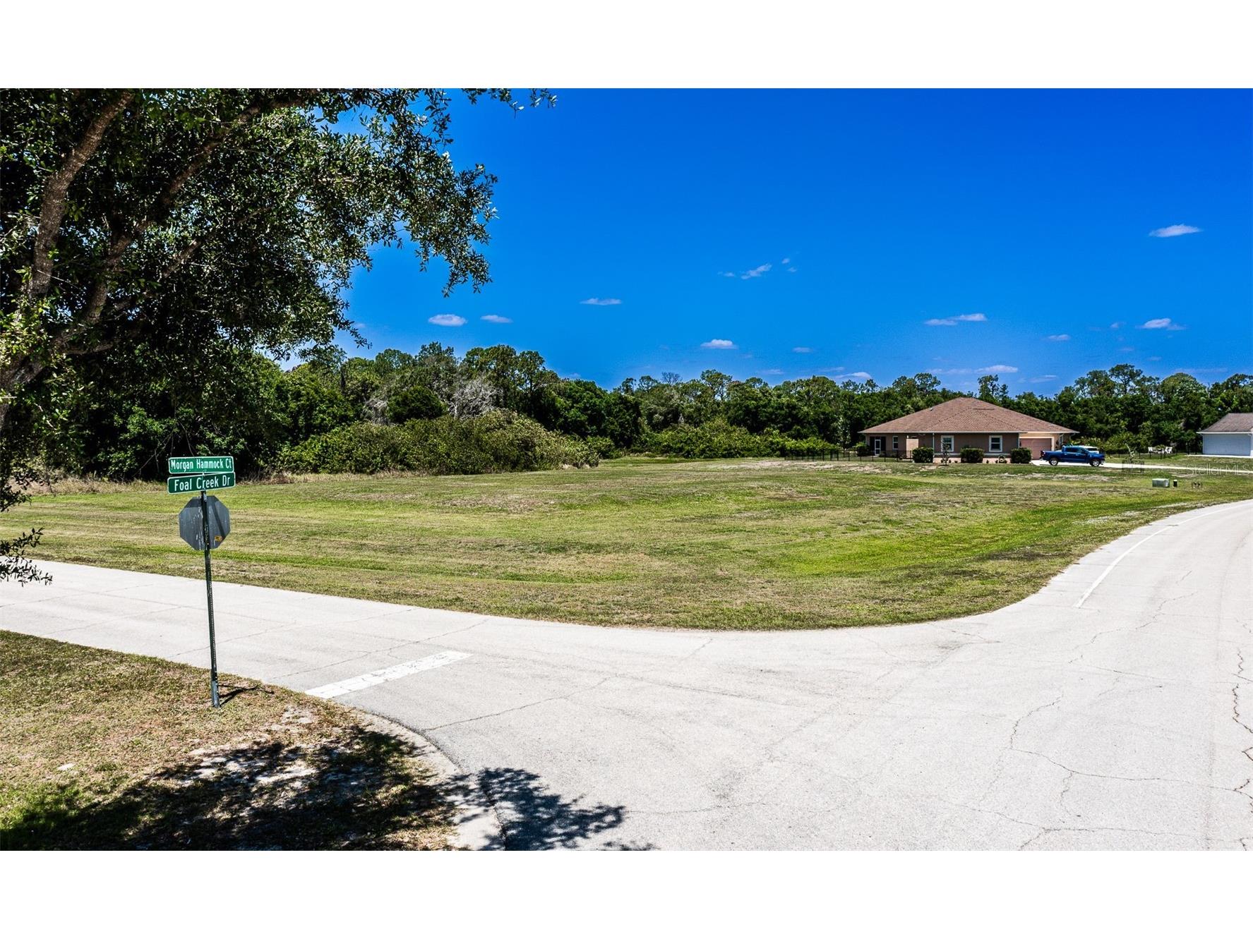 6211 Foal Creek Drive Parrish FL 34219 A4691691 image2