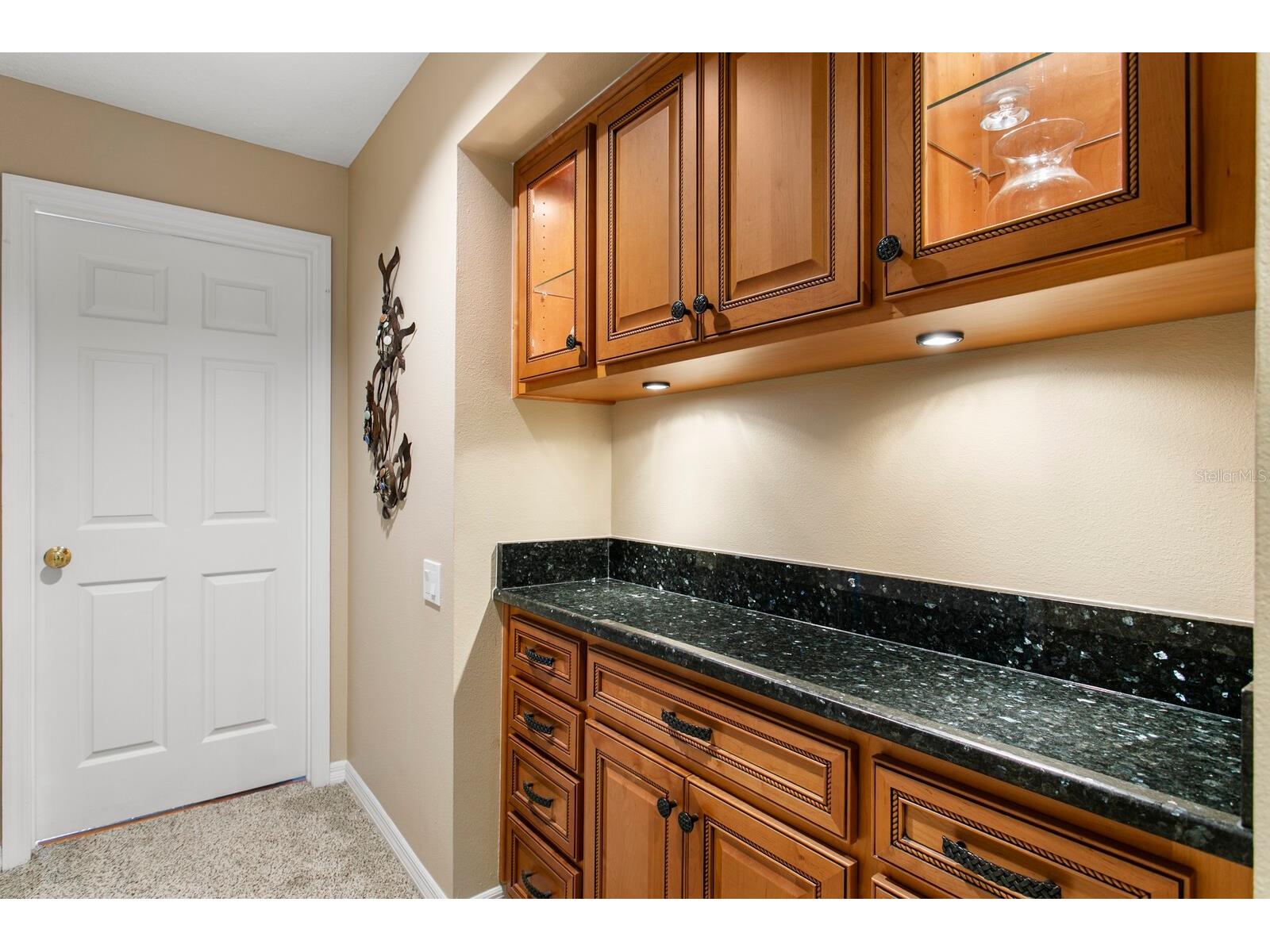 6211 Iroquois Court Odessa FL 33556 TB8500932 image19