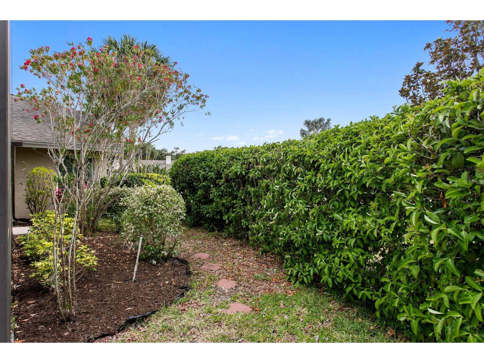 6211 Iroquois Court Odessa FL 33556 TB8500932 image50