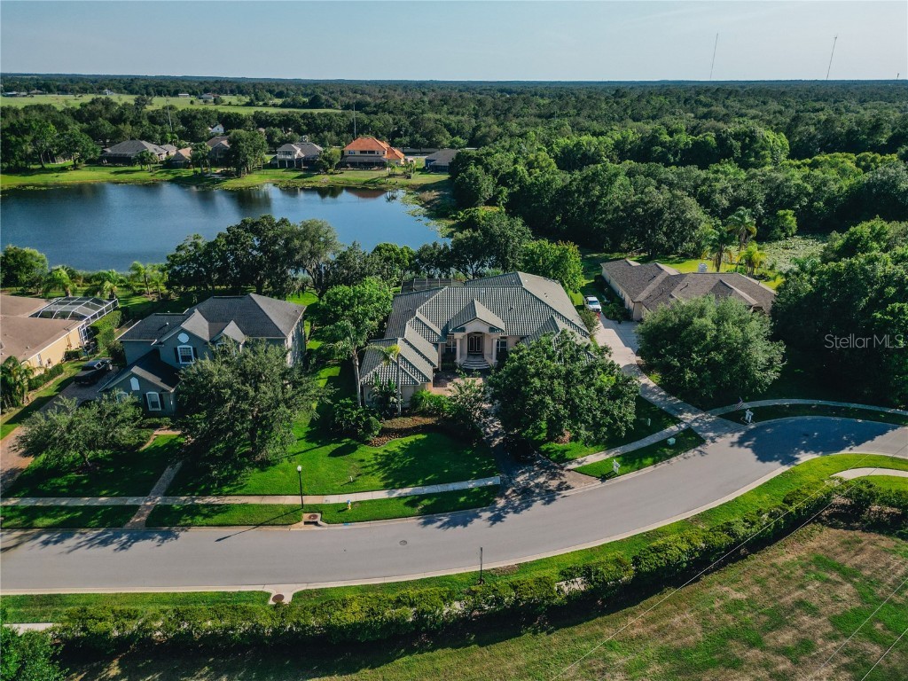 6211 Kingbird Manor Drive Lithia FL 33547 T3445081 image1