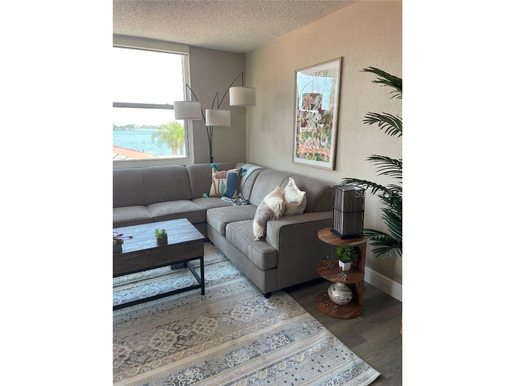 6211 Sun Boulevard #306 Saint Petersburg FL 33715 U8217757 image13