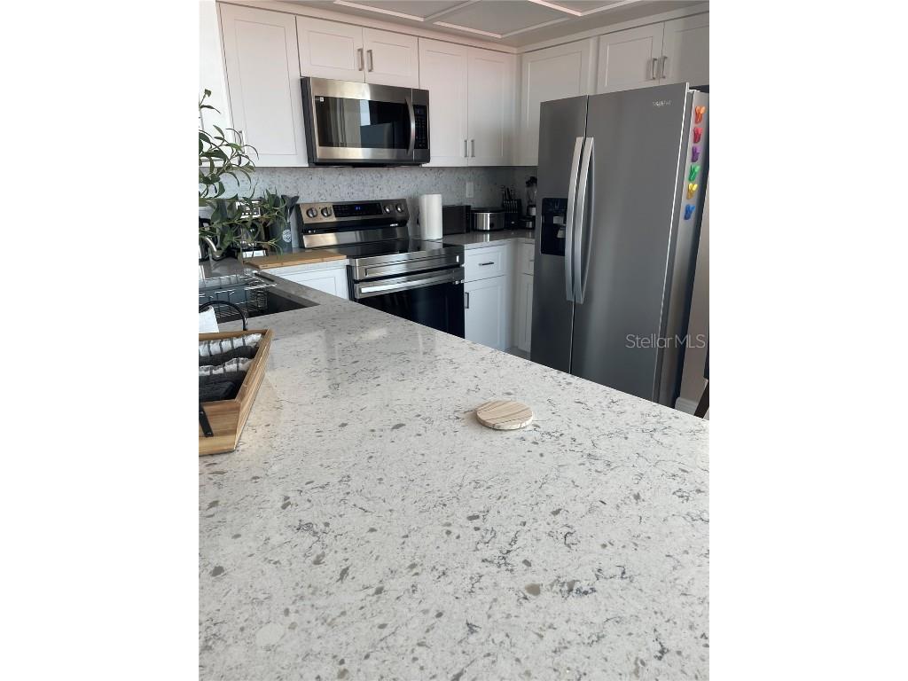 6211 Sun Boulevard #306 Saint Petersburg FL 33715 U8217757 image5