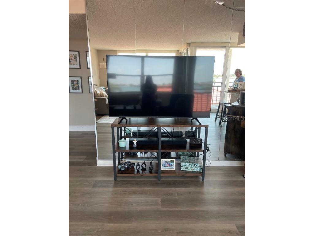 6211 Sun Boulevard #306 Saint Petersburg FL 33715 U8217757 image9