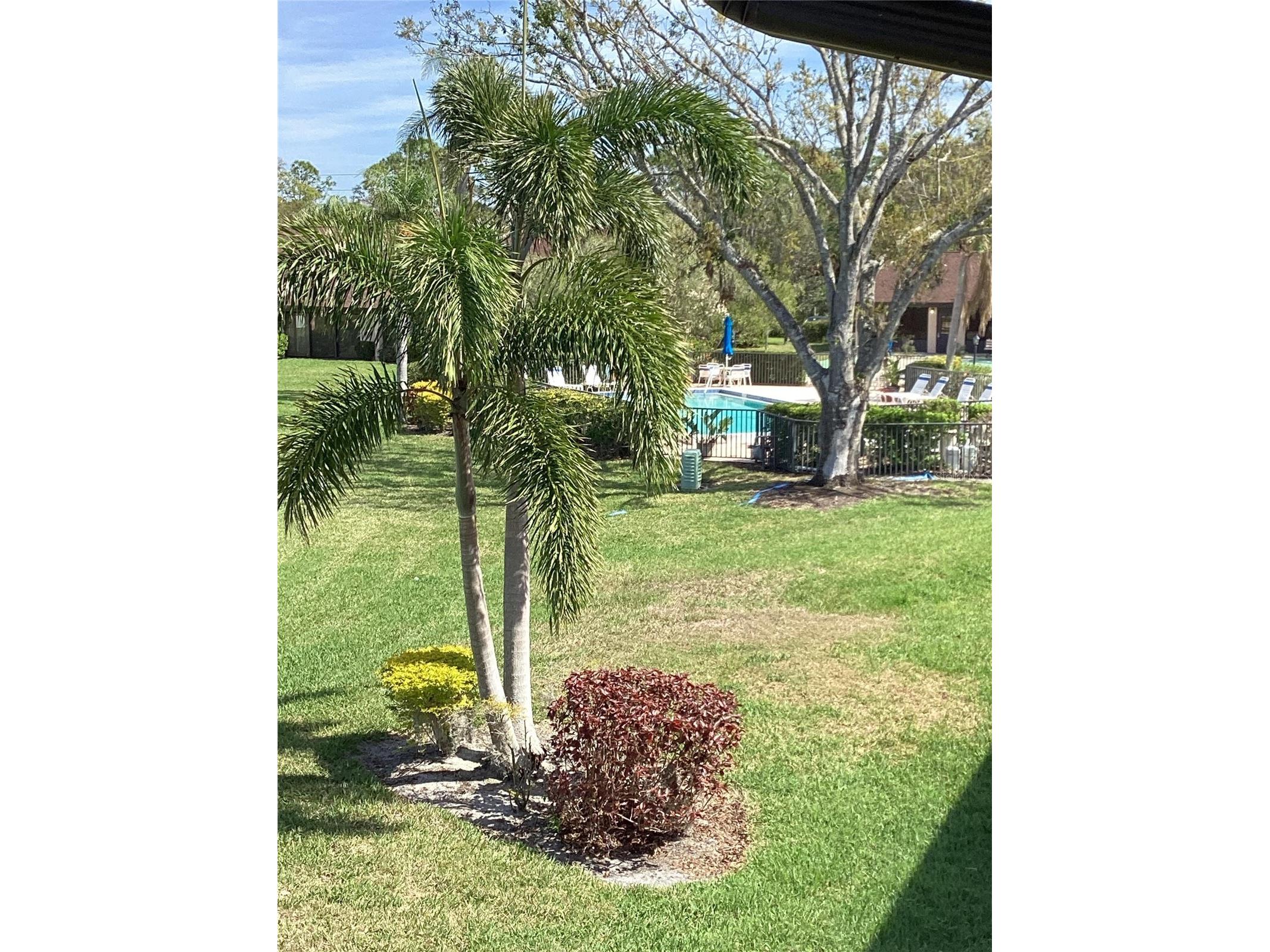 6211 Timber Lake Drive #B4 Sarasota FL 34243 O6412209 image20
