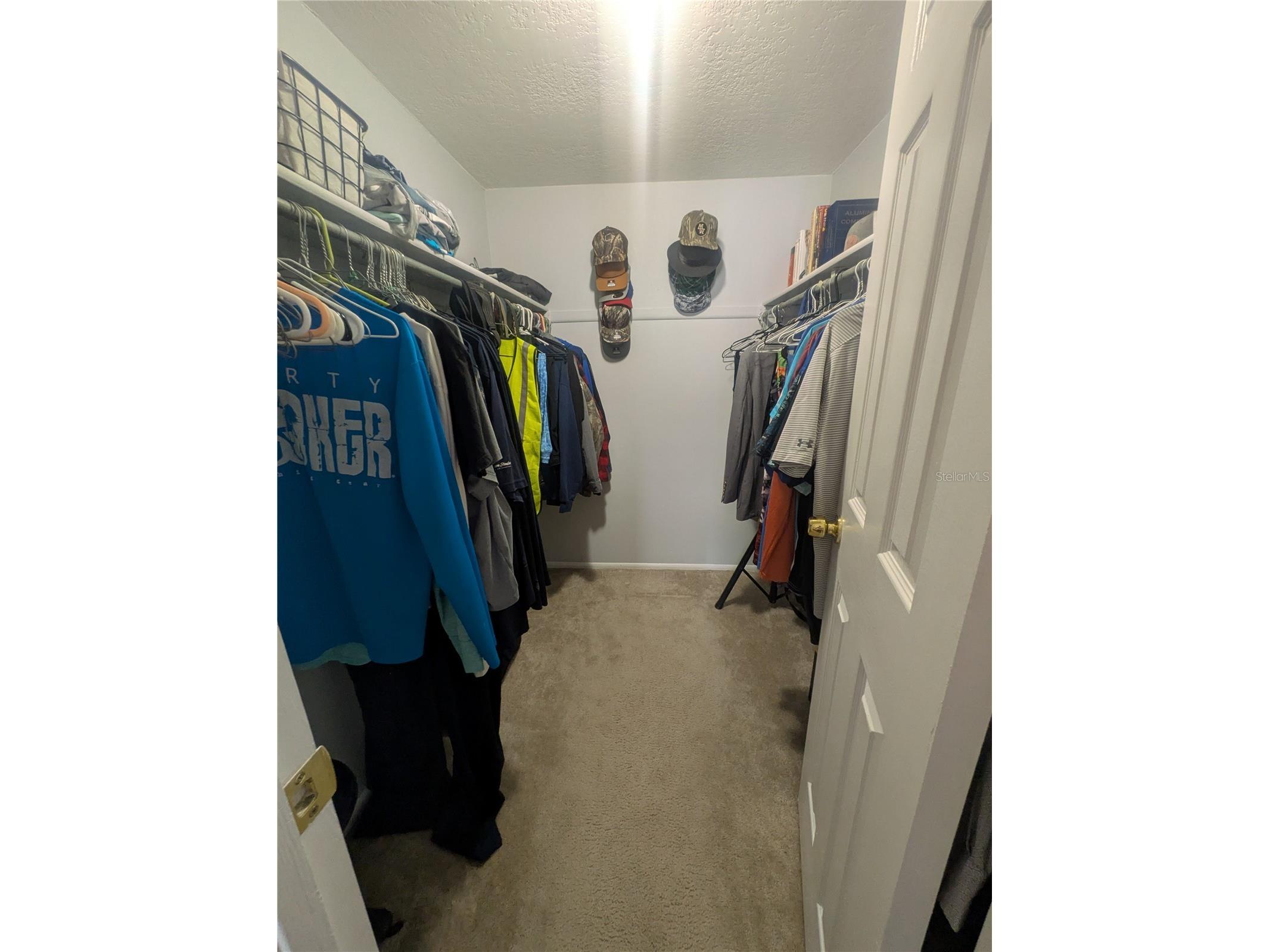 6212 18th Street Zephyrhills FL 33542 O6417311 image18