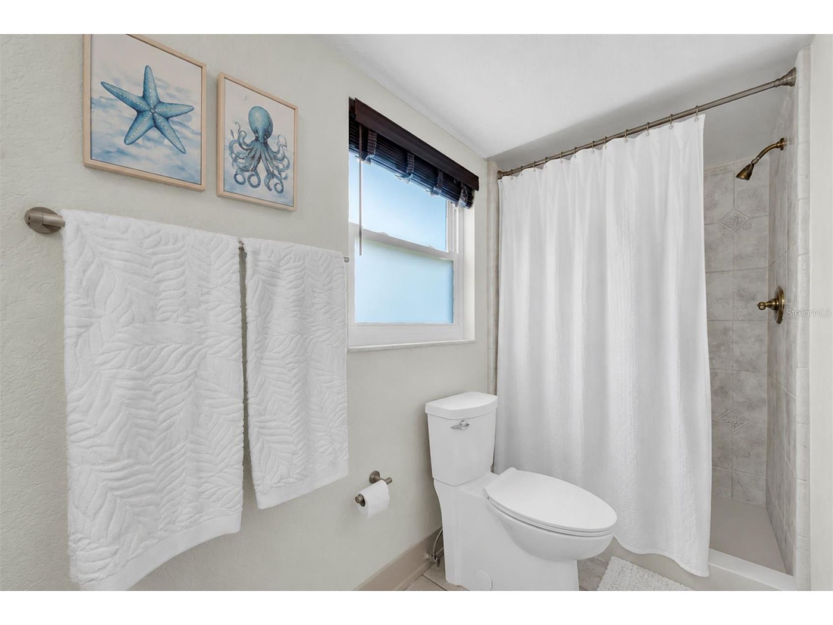 6212 20th Street S Saint Petersburg FL 33712 TB8508588 image26