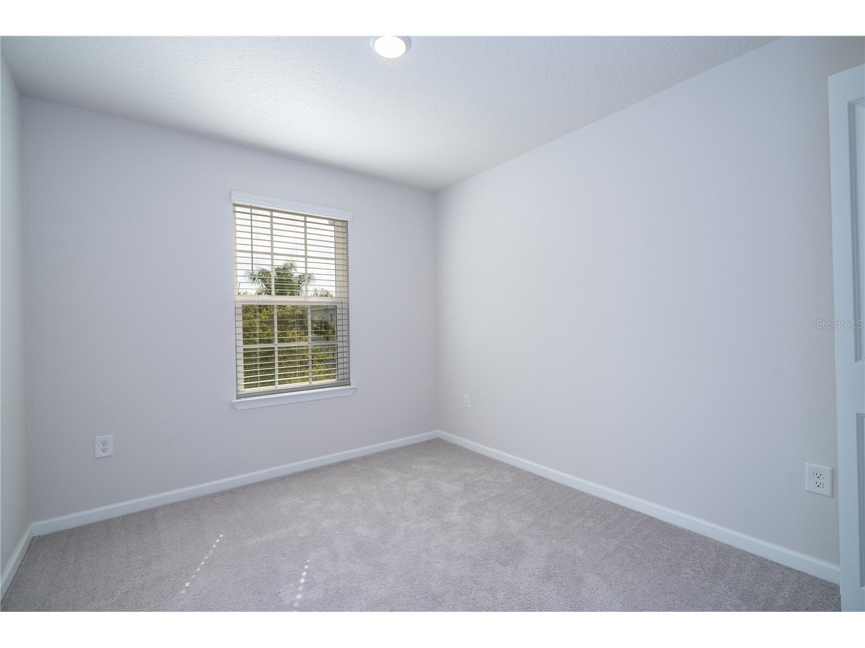 6212 Aralia Ivy Lane Winter Garden FL 34787 O6394386 image50