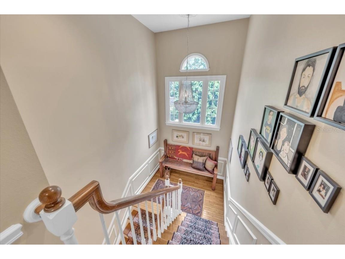 6212 Bayshore Boulevard #K Tampa FL 33611 TB8454983 image26