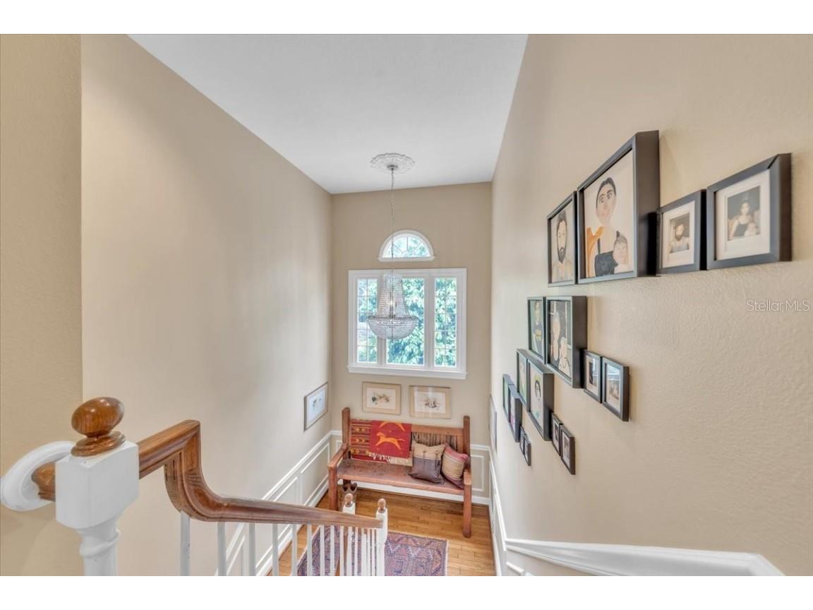 6212 Bayshore Boulevard #K Tampa FL 33611 TB8454983 image27