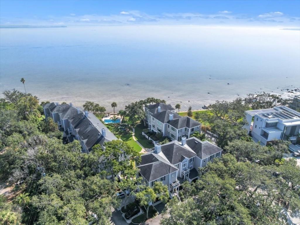 6212 Bayshore Boulevard #K Tampa FL 33611 TB8454983 image68