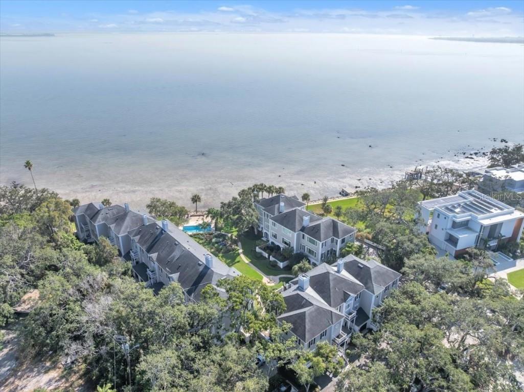 6212 Bayshore Boulevard #K Tampa FL 33611 TB8454983 image75