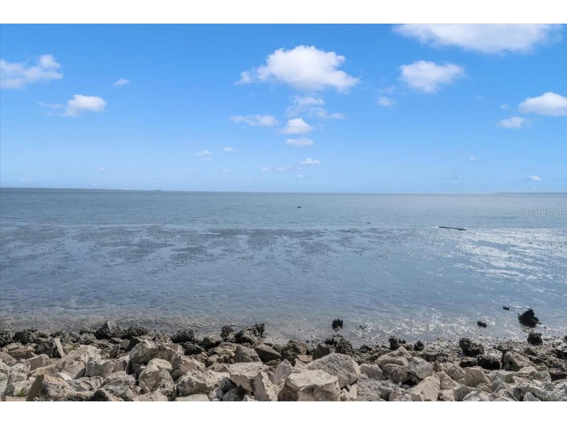 6212 Bayshore Boulevard #K Tampa FL 33611 TB8454983 image76