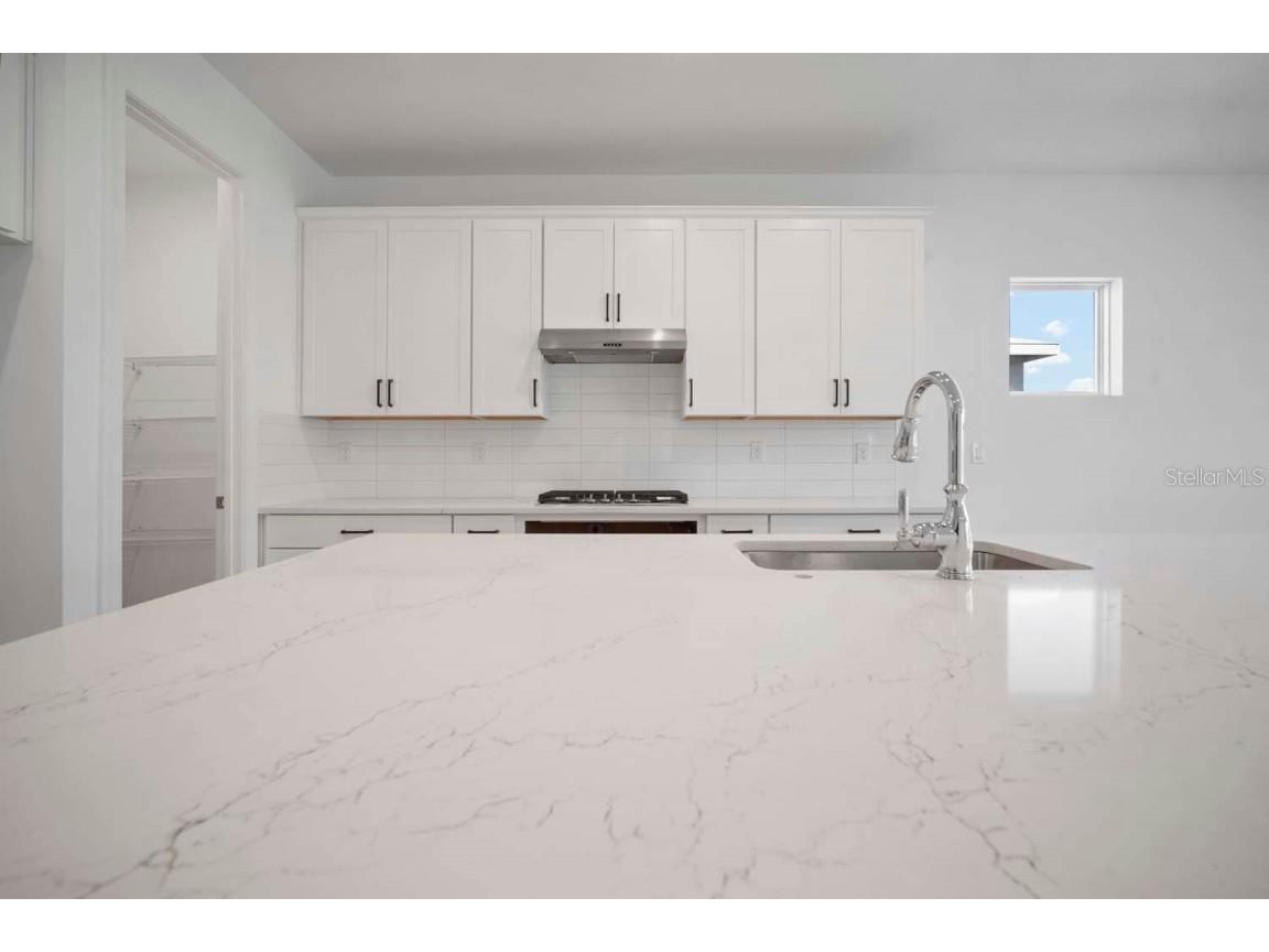 6212 Broad Field Avenue Apollo Beach FL 33572 TB8341937 image22