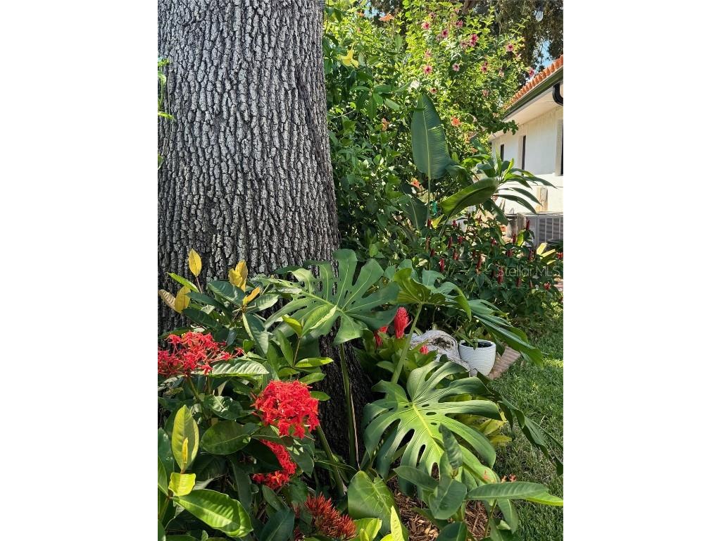 6213 12th Avenue S Gulfport FL 33707 TB8375239 image34