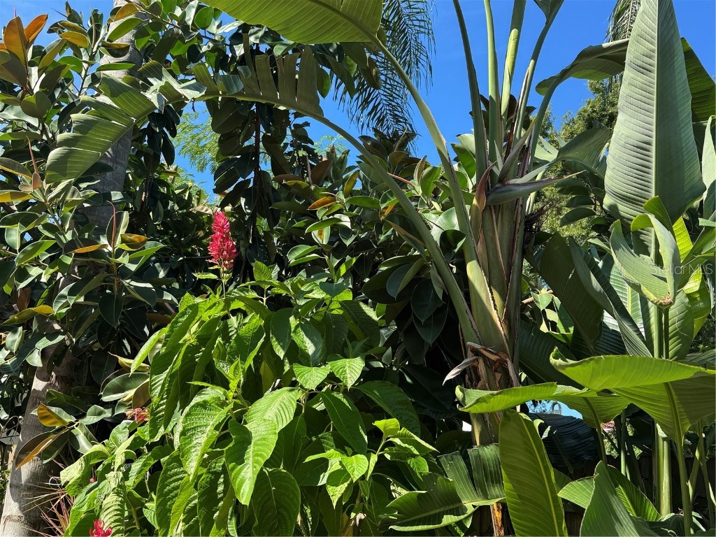 6213 12th Avenue S Gulfport FL 33707 TB8375239 image35