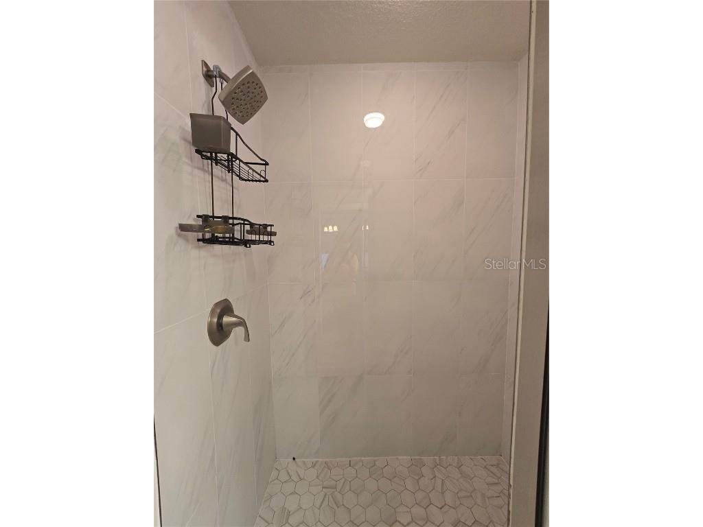 6213 Ashbury Palms Drive Tampa FL 33647 TB8456300 image22