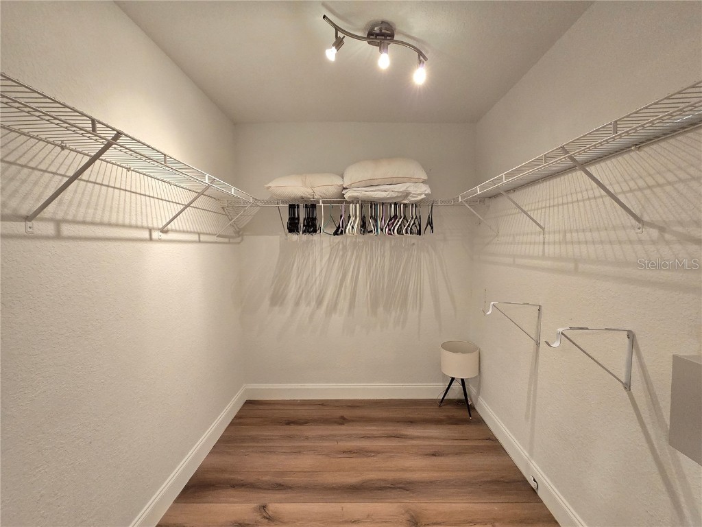 6213 Ashbury Palms Drive Tampa FL 33647 TB8456300 image23