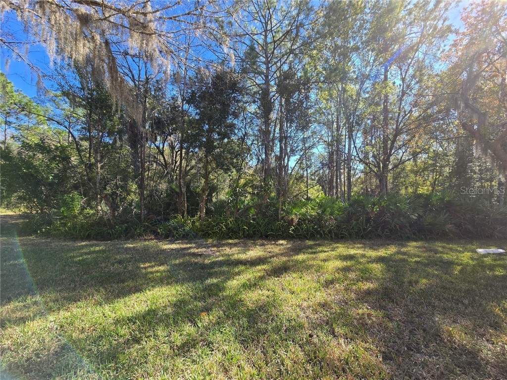 6213 Ashbury Palms Drive Tampa FL 33647 TB8456300 image38