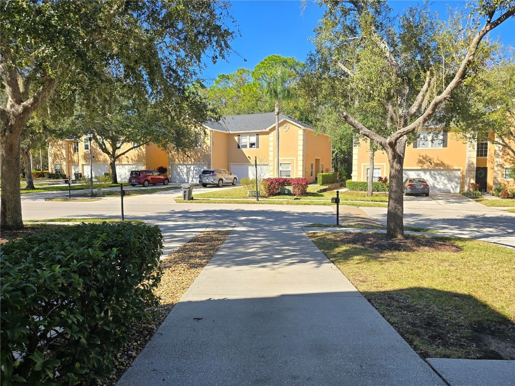 6213 Ashbury Palms Drive Tampa FL 33647 TB8456300 image4