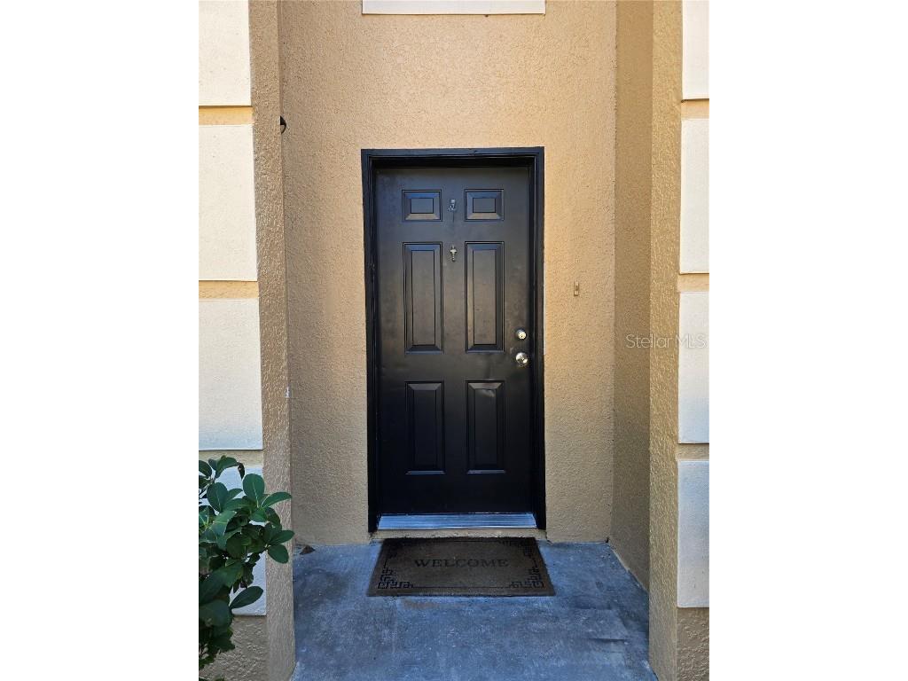 6213 Ashbury Palms Drive Tampa FL 33647 TB8456300 image5