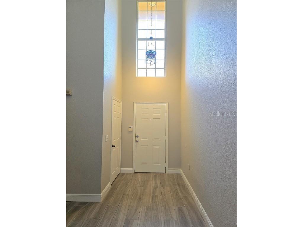 6213 Ashbury Palms Drive Tampa FL 33647 TB8456300 image7