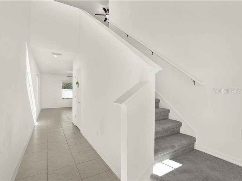 6213 Back Forty Loop Zephyrhills FL 33541 TB8519303 image24