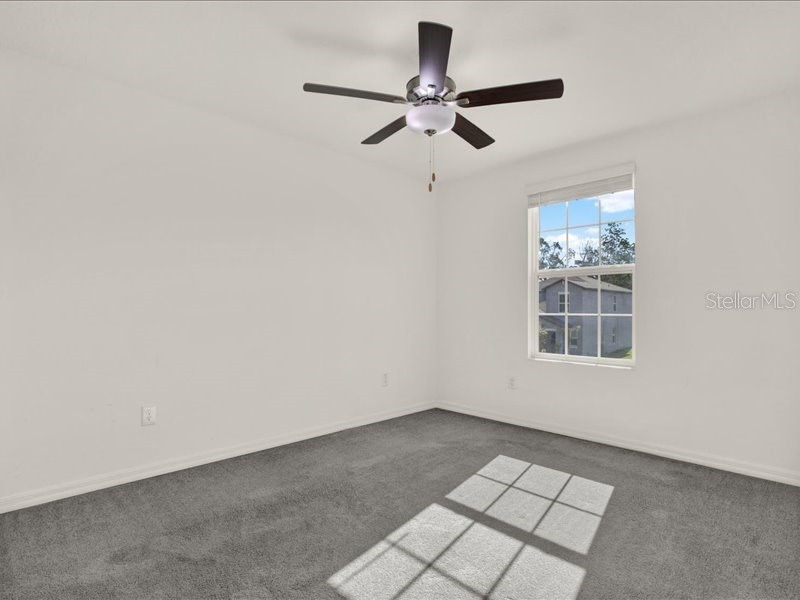6213 Back Forty Loop Zephyrhills FL 33541 TB8519303 image42