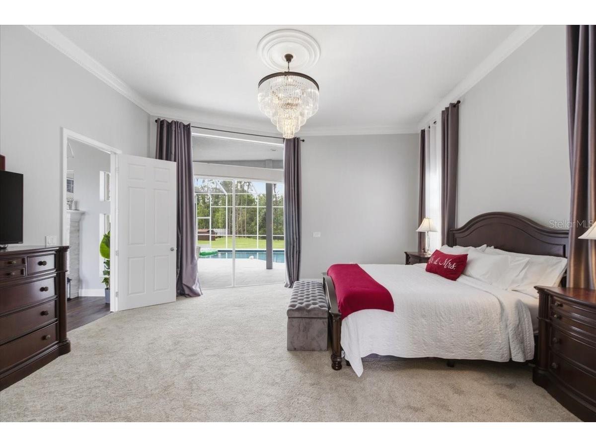 6213 Bridleford Drive Wesley Chapel FL 33545 TB8512048 image28