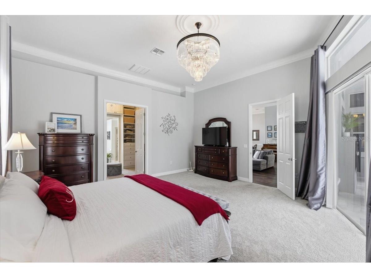 6213 Bridleford Drive Wesley Chapel FL 33545 TB8512048 image29