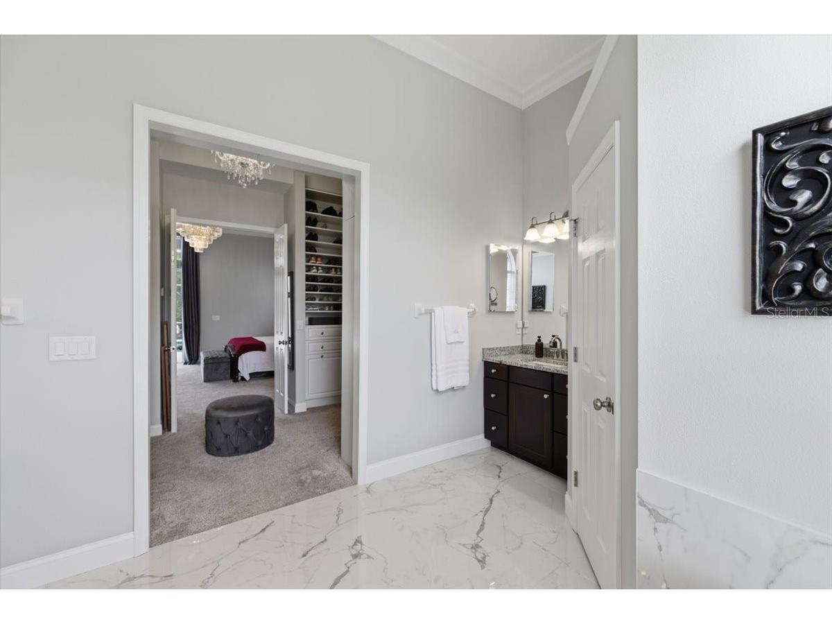 6213 Bridleford Drive Wesley Chapel FL 33545 TB8512048 image32