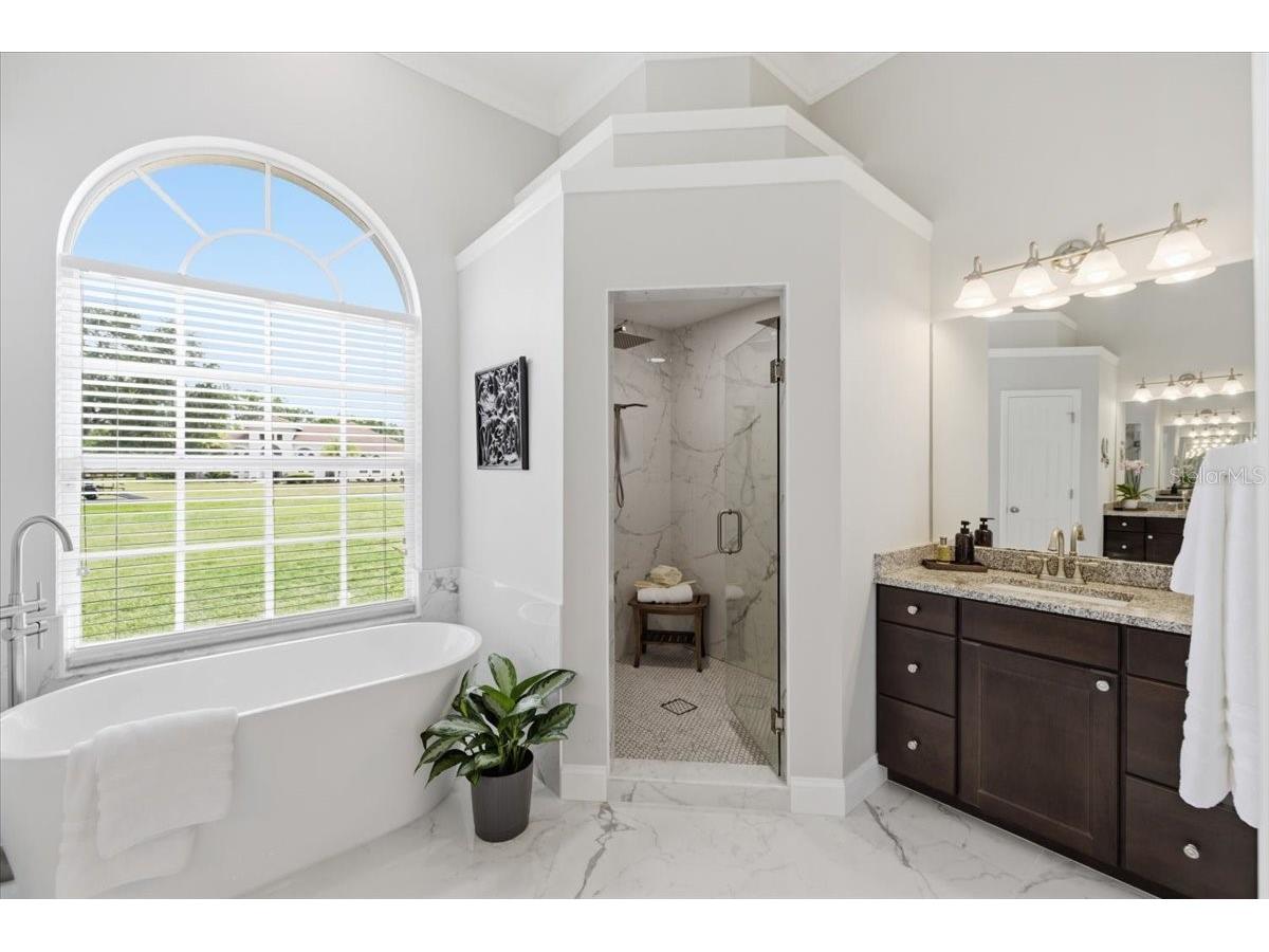 6213 Bridleford Drive Wesley Chapel FL 33545 TB8512048 image33