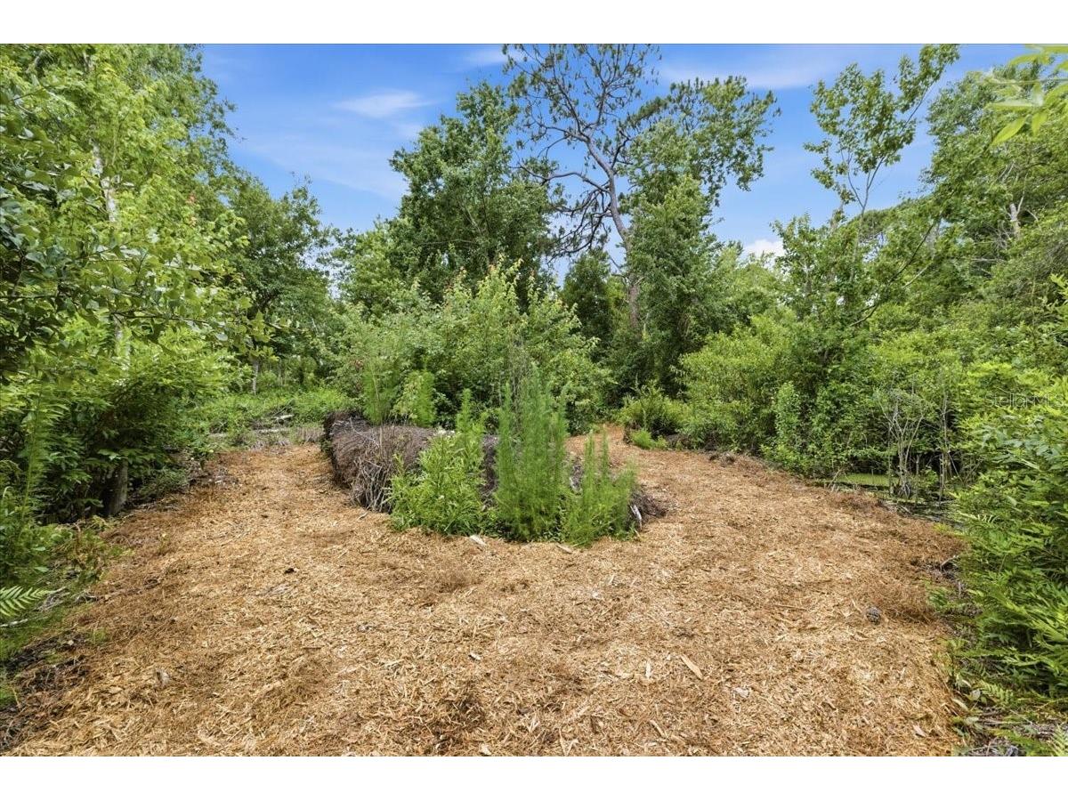 6213 Bridleford Drive Wesley Chapel FL 33545 TB8512048 image37