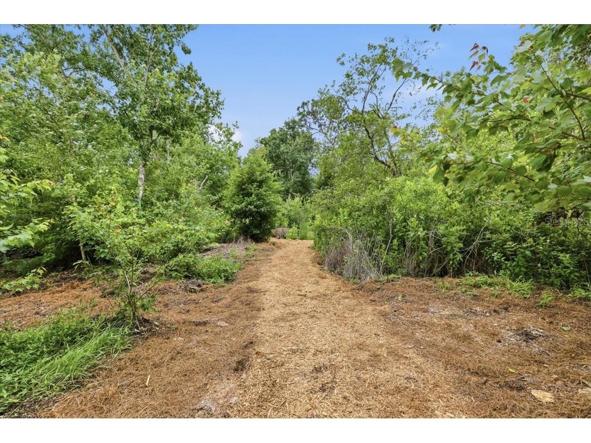 6213 Bridleford Drive Wesley Chapel FL 33545 TB8512048 image39