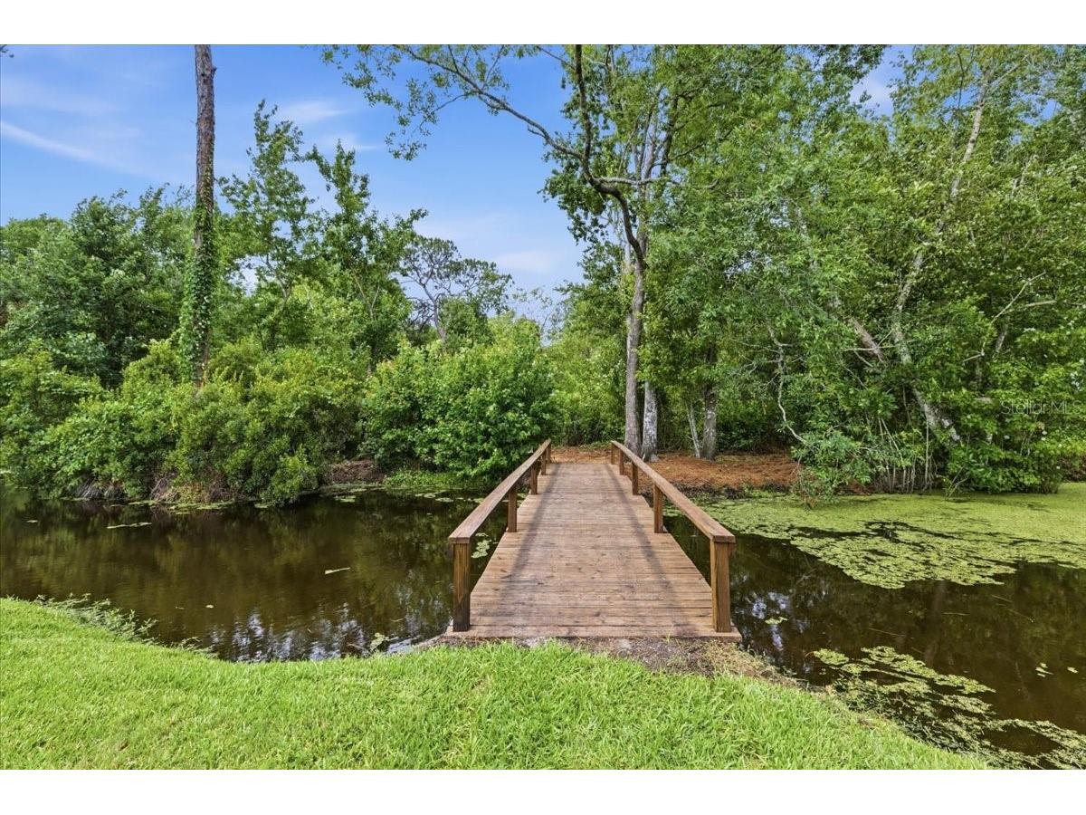 6213 Bridleford Drive Wesley Chapel FL 33545 TB8512048 image40