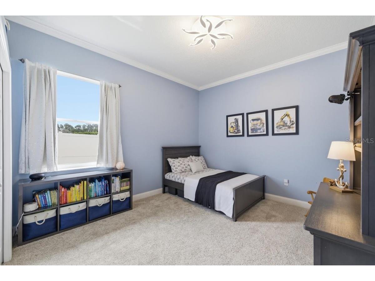 6213 Bridleford Drive Wesley Chapel FL 33545 TB8512048 image45