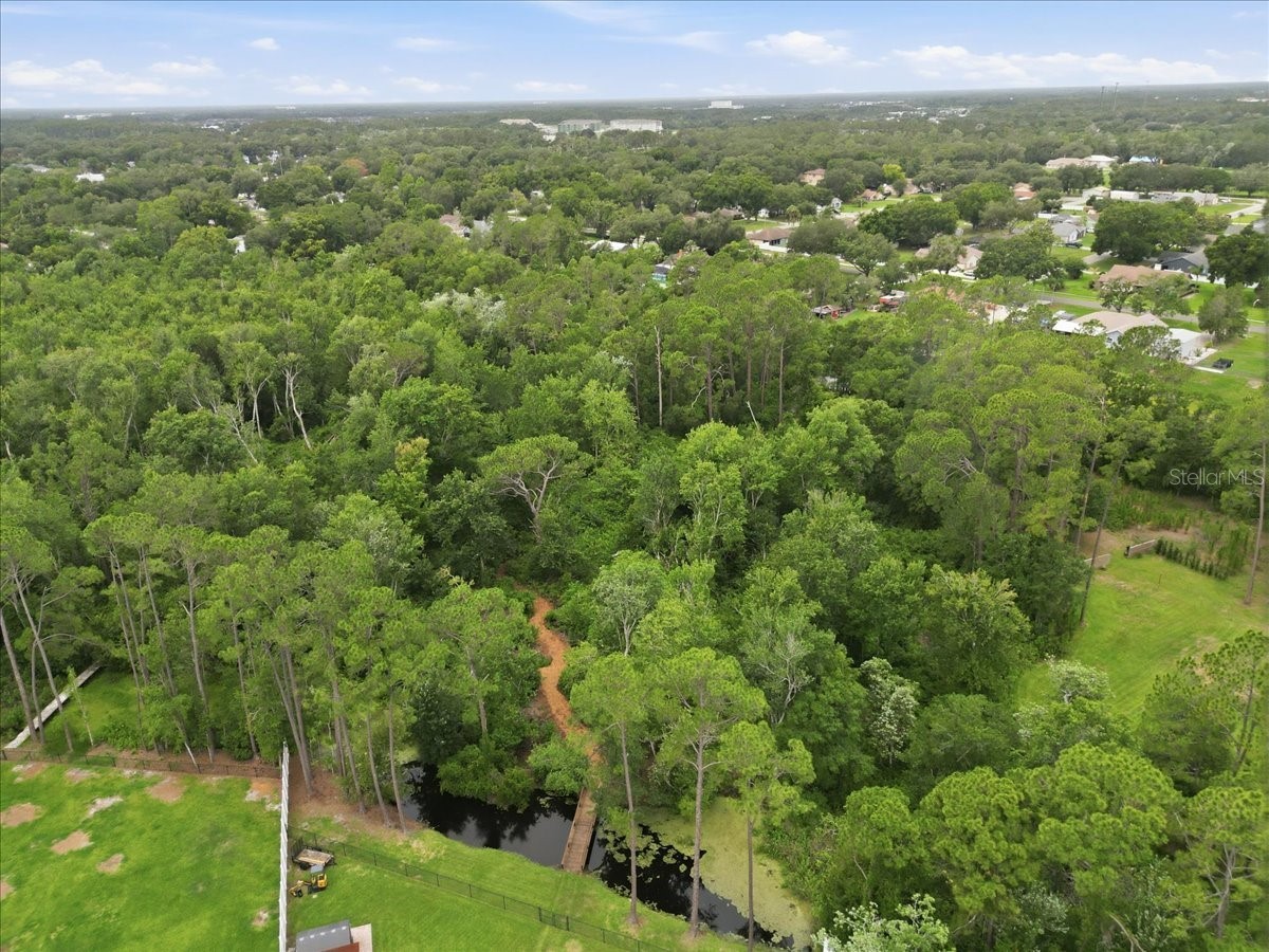 6213 Bridleford Drive Wesley Chapel FL 33545 TB8512048 image52