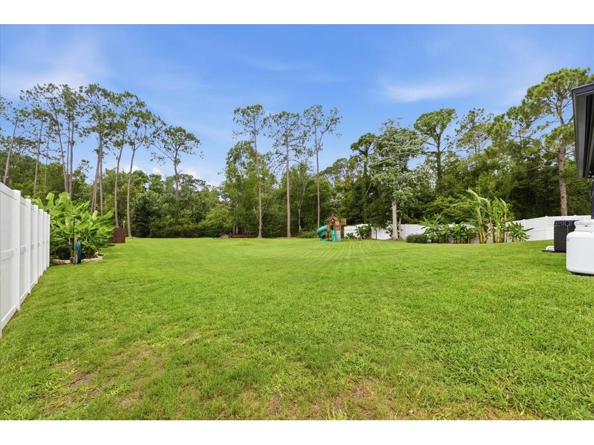 6213 Bridleford Drive Wesley Chapel FL 33545 TB8512048 image59