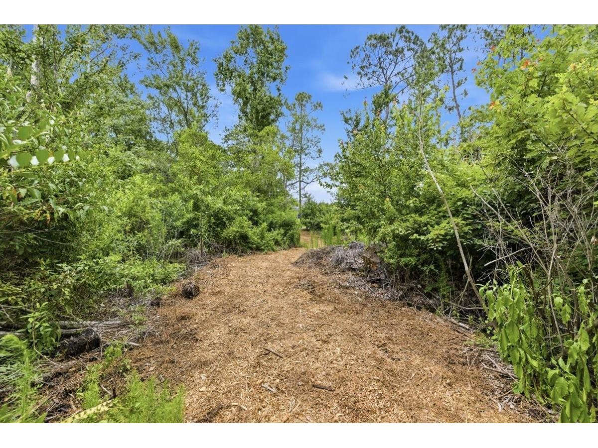 6213 Bridleford Drive Wesley Chapel FL 33545 TB8512048 image65